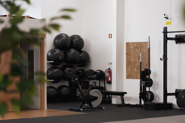 Zona de treino vista junto a uma planta